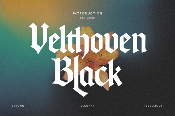 Velthoven Black: The Gothic Revival Typeface